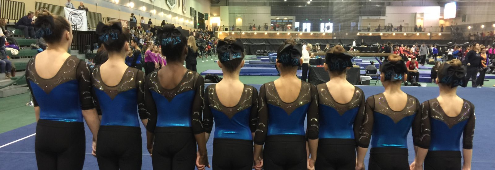 LAKE MURRAY GYMNASTICS TEAM